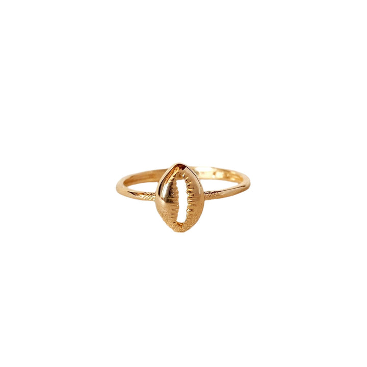 GoldFi - 18k Gold Filled Cowrie Shell Ring: 7